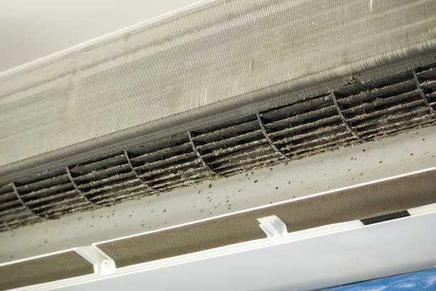 Best Home Air Vent Cleaning  in Hartshorne, OK